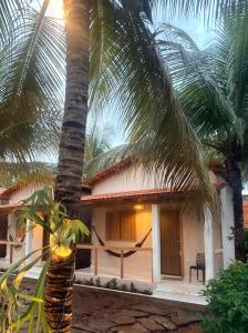 a house with a palm tree in front of it at Pousada Villa Peruaçu - Na entrada do Parque Nacional Cavernas Peruaçu in Januária