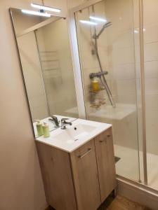 a bathroom with a sink and a shower at Le Cocon Clermontois - T2 Centre in Clermont-Ferrand