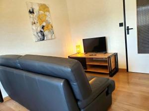a living room with a blue couch and a tv at Le Cocon Clermontois - T2 Centre in Clermont-Ferrand