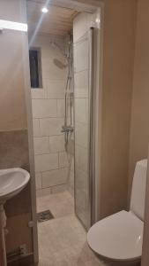 a bathroom with a shower with a toilet and a sink at Cozy Studio in Kouvola