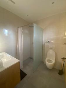 a bathroom with a toilet and a sink at Het Hunebedje in Vries