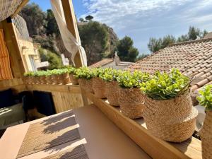 a row of potted plants on a balcony at Casa Halcón in Jávea