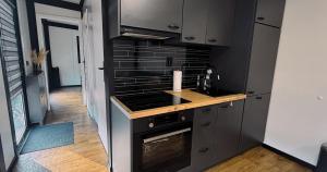 a kitchen with black cabinets and a stove top oven at Maya tempel - De IJsvogel in Voorthuizen