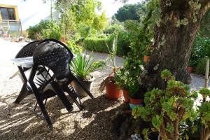 a black chair sitting next to a tree in a garden at Casa de Campo em Taipa in Coruche