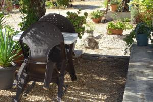 a pair of chairs sitting in a garden at Casa de Campo em Taipa in Coruche