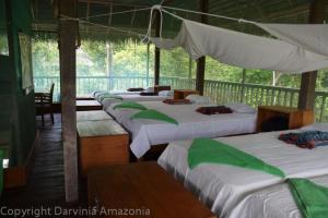 a group of four beds in a room at Johmer EXPEDITION Lodge in Islas Tinicuro +11 photos