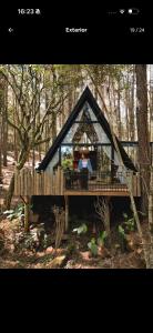 a person in a glass house in the woods at Lohma Nature in Gramado