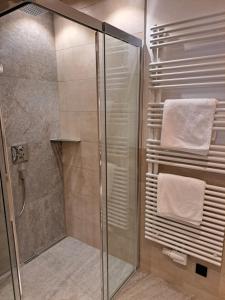 a shower with a glass shower stall with towels at Ferienwohnung Altrach in Aurach bei Kitzbuhel +23 photos