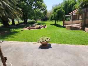 a yard with a potted plant on the ground at Cozy guestrooms in Midrand in Midrand +4 photos
