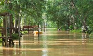 a flooded park with benches and trees and water at Nuevo Ciclo in Tigre