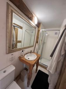 a bathroom with a sink and a shower at Vinnies hideaway in Morpeth