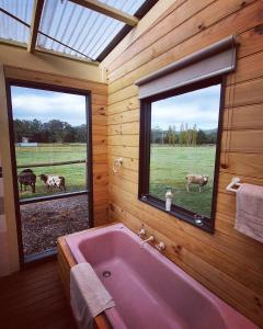 a bathroom with a pink tub and two windows at Little T in Yarra Junction