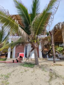 a woman laying on the beach next to a palm tree at Bungalows Pascana 58 in Canoas de Punta Sal +9 photos
