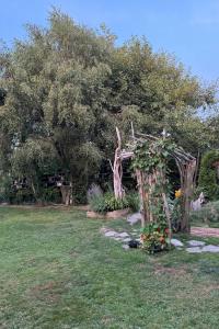 a garden with a arbor and flowers in a yard at Stay and Spa in Sooke +14 photos