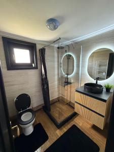 a bathroom with a shower and a toilet and a sink at Zen Home in Mihai Viteazu +7 photos