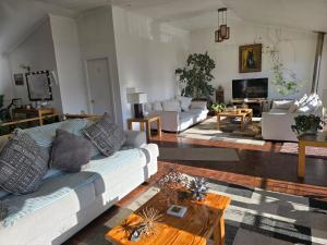 a living room with couches and a coffee table at Akainij in Puerto Williams
