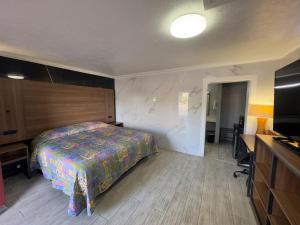 a bedroom with a bed and a television in it at Economy Inn in Arcadia