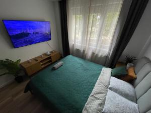 a bedroom with a bed and a couch and a television at Buda Side Comfort in Budapest +11 photos
