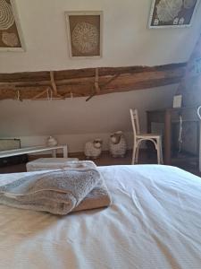 a bedroom with a bed and a table and a chair at Maison la Bambine chambre nature in Ozolles +7 photos