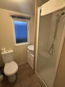 a bathroom with a toilet and a sink and a shower at Moonstone Costal Caravan Retreat in Saint Margaretʼs at Cliffe