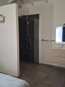 a bathroom with a shower with a glass door at Zion in Capesterre +14 photos