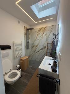 a bathroom with a toilet and a sink and a skylight at Charnel - Suite Bali in Liège