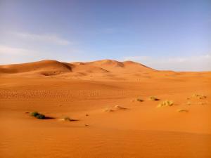 a desert with sand dunes in the background at Chez zakaria guest in Erfoud