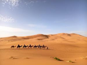 a group of people riding camels in the desert at Chez zakaria guest in Erfoud