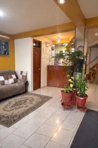 a living room with a couch and some plants at Hostal Santo Domingo in Cusco