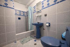 a bathroom with a blue toilet and a shower at Hostal Santo Domingo in Cusco