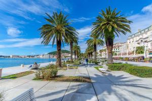 a city street with palm trees and buildings at Apartment Genius Loci in Split