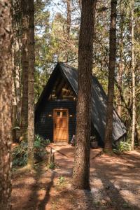 a black cabin with a wooden door in the woods at Lohma Nature in Gramado