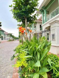 a garden of plants in front of a house at Opus Villas Tropical Phu Quoc in Phú Quốc