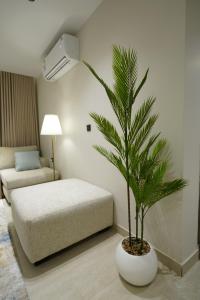 a palm tree in a living room with a couch at Elite Alsultan in Al Khobar +41 photos