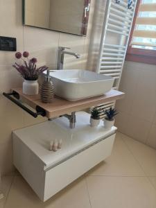 a bathroom with a sink on a counter with plants at Dimora Porta Vicenza-Montagnana in Montagnana +19 photos