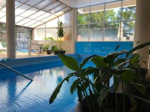 a house with a swimming pool with a potted plant at Nobile Hotel Solar del Acuario in Salto