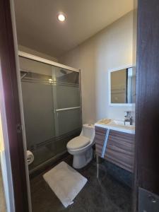 a bathroom with a shower and a toilet and a sink at Puntacero Fundidora 1604 Cintermex in Monterrey +16 photos