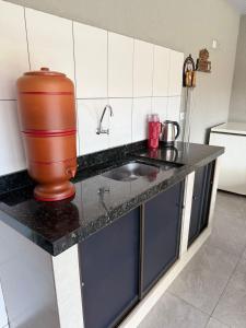 a kitchen with a sink and a vase on a counter at Quarto com area de descanso in Foz do Iguaçu