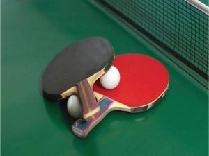 a snooker cue ball on top of a pool table at Feriendorf Reinskopf in der Eifel in Schönecken
