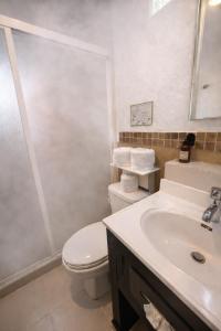 a bathroom with a toilet and a sink and a shower at Hotel Interforum in León