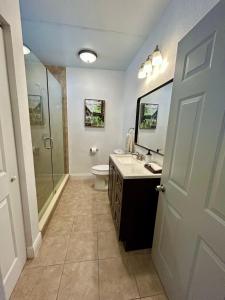 a bathroom with a toilet and a sink and a shower at Suite Villa Roman in Tampa