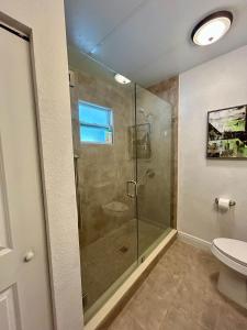 a bathroom with a shower and a toilet at Suite Villa Roman in Tampa