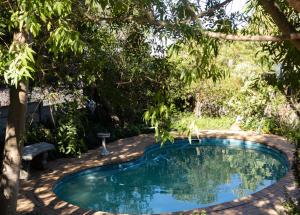 a swimming pool in a garden with a tree at 1 Queen Vic in Darling
