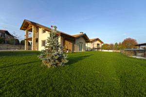 a house with a christmas tree in the middle of a yard at La Casa Di Kiki in Cuneo