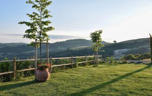 a garden with a tree in a vase on the grass at Az Ag Ricciarelli N in San Giuliano di Puglia +36 photos