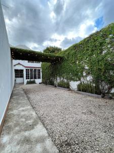 an ivy covered wall next to a white building at 8 habitaciones para 16 personas in Flores