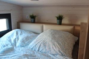 a bed in a room with two potted plants on the wall at KE-Tiny-Siedlung Haus Buddy in Oerlenbach
