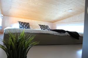 a bed in a tiny house with a plant at KE-Tiny- Siedlung Haus Paulchen in Oerlenbach