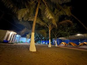 two palm trees on a beach at night with tents at Beach vibe in Udupi