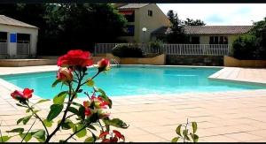 a swimming pool with a red flower in front of it at Studio calme avec terrasse et piscine in Saint-Vallier-de-Thiey